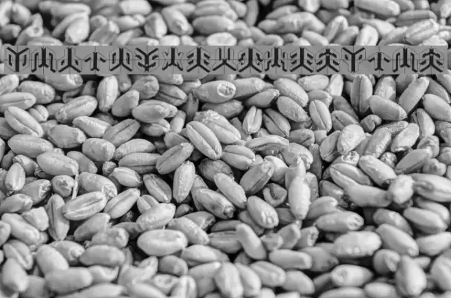 DuploSketchesPlus Fuentes examples