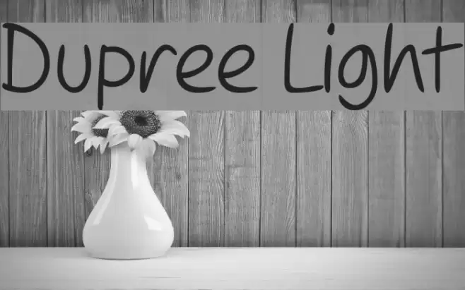 Dupree Light Font examples