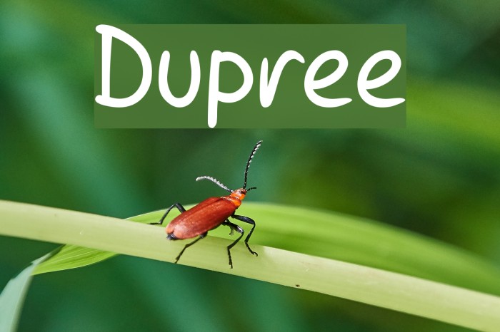 Dupree Polices examples