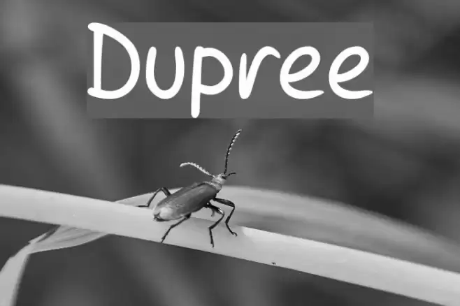 Dupree examples