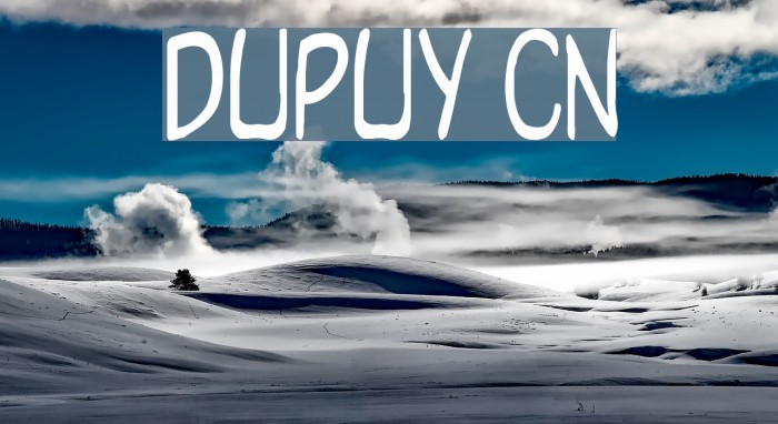 Dupuy Cn Font examples