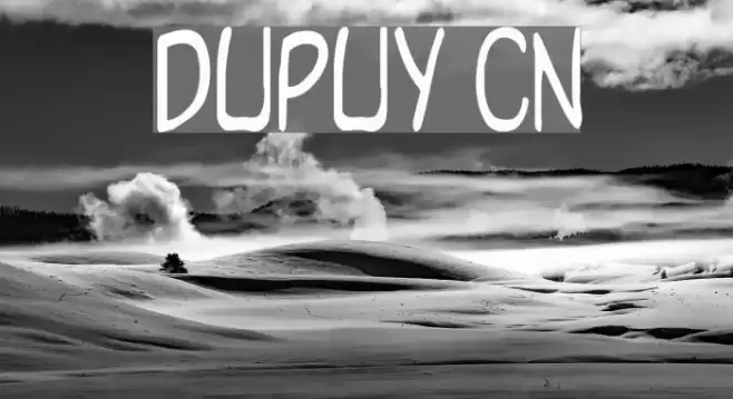 Dupuy Cn Font examples