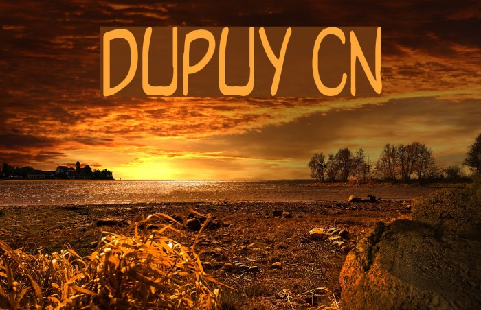 Dupuy Cn Font examples