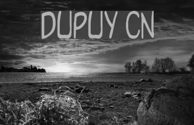 Dupuy Cn Font examples