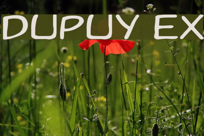 Dupuy Ex Font examples