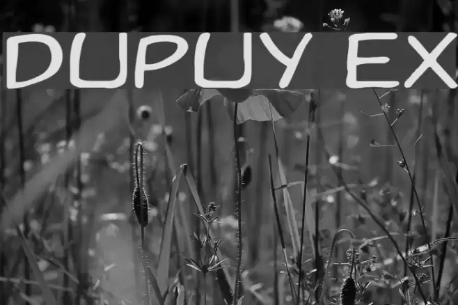 Dupuy Ex Font examples
