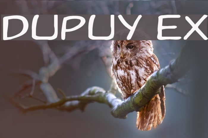 Dupuy Ex Font examples