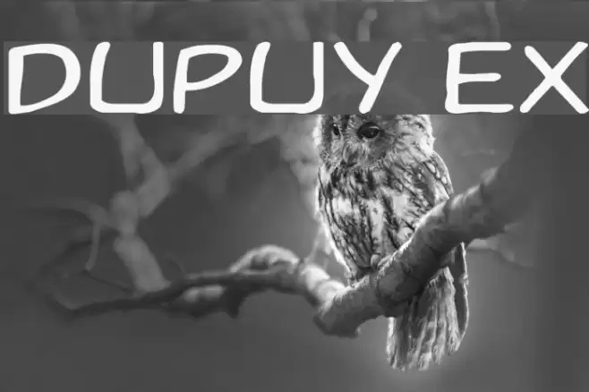 Dupuy Ex Font examples