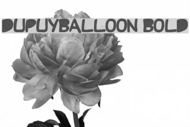 DupuyBALloon Bold Font examples