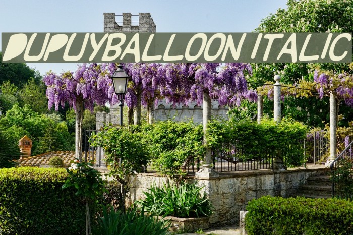 DupuyBALloon Italic Шрифта examples