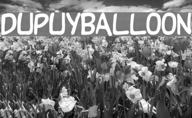DupuyBALloon Example 3