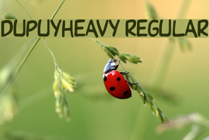 DupuyHeavy Regular Font examples