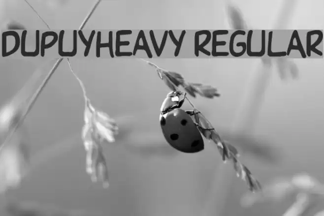 DupuyHeavy Regular Schriftart examples