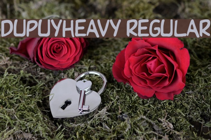 DupuyHeavy Regular Font examples