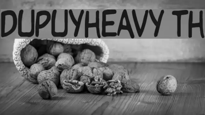 DupuyHeavy Th Font examples