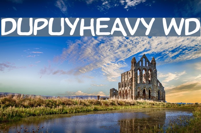 DupuyHeavy Wd Font examples