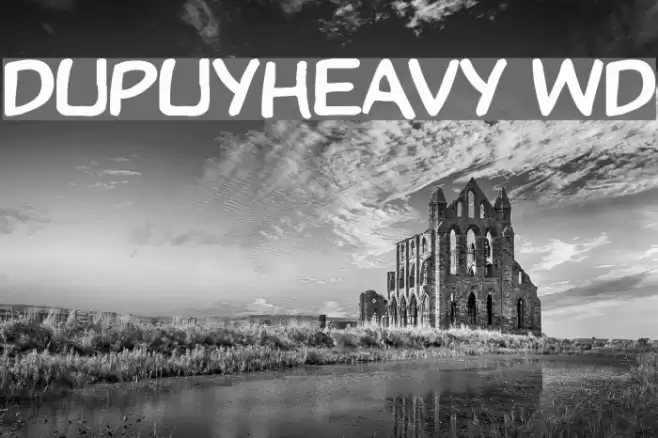DupuyHeavy Wd Font examples
