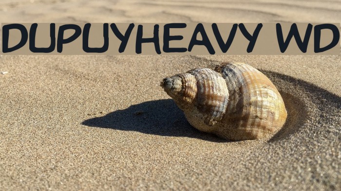 DupuyHeavy Wd Font examples