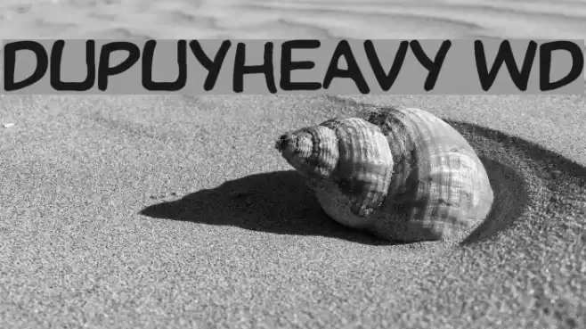 DupuyHeavy Wd Font examples
