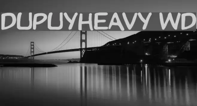 DupuyHeavy Wd Font examples