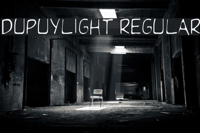 DupuyLight Regular Font examples