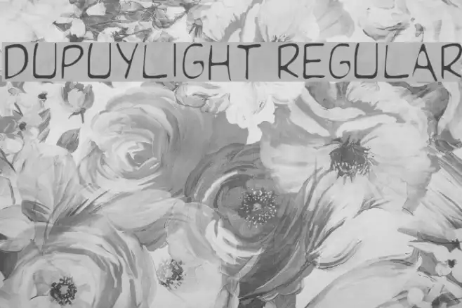 DupuyLight Regular Example 2