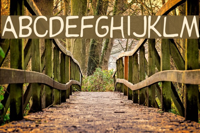 Dupuy Font examples