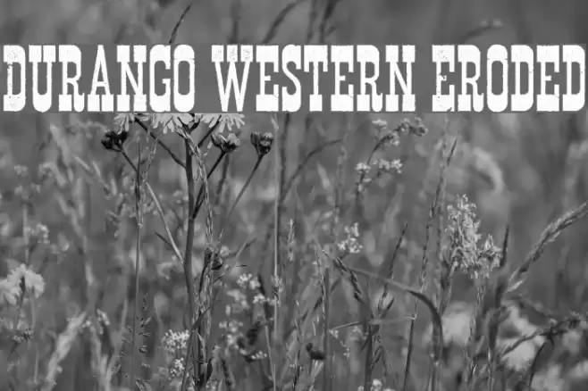 Durango Western Eroded フォント examples