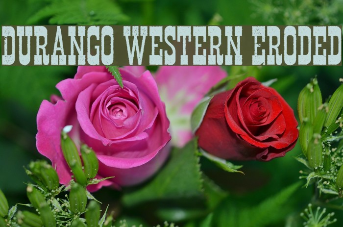 Durango Western Eroded Font examples
