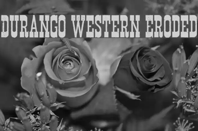 Durango Western Eroded フォント examples