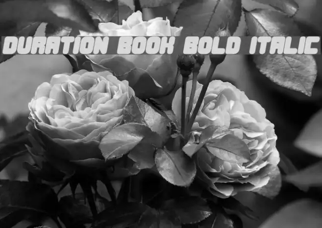 Duration Book Bold Italic Example 1
