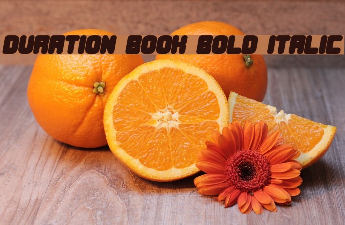 Duration Book Bold Italic Font examples