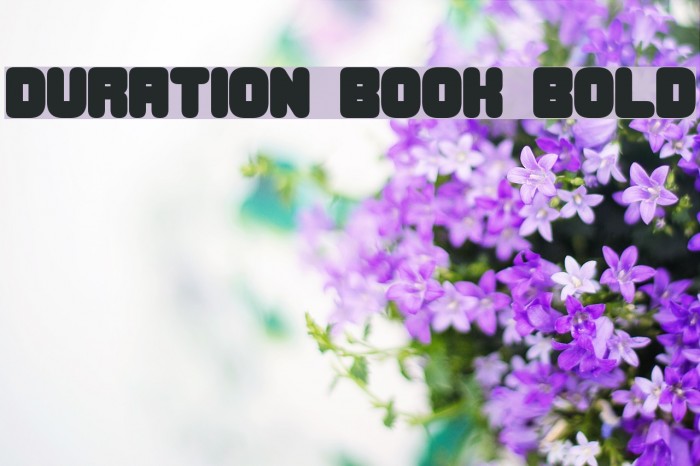 Duration Book Bold Example 1