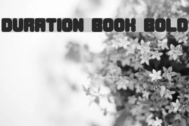 Duration Book Bold Font examples