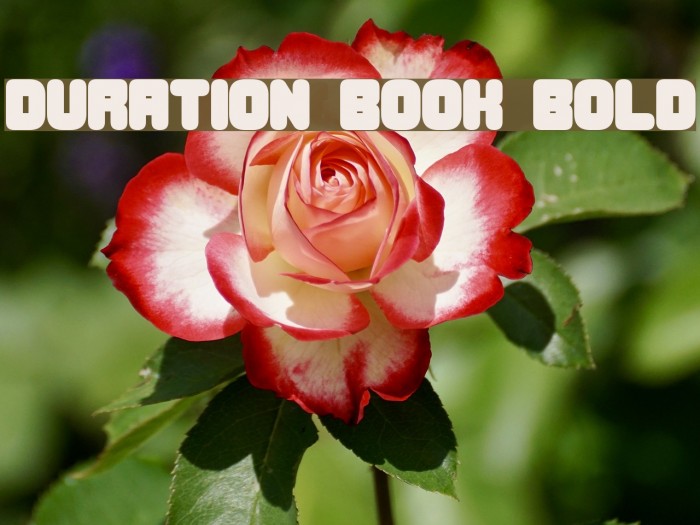Duration Book Bold Example 2
