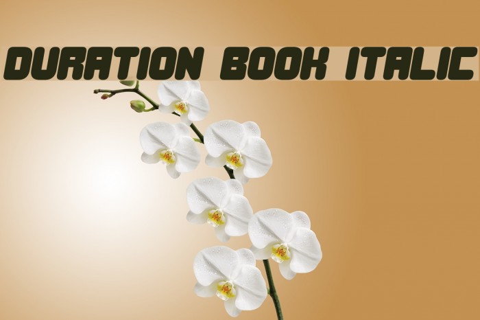 Duration Book Italic Font examples