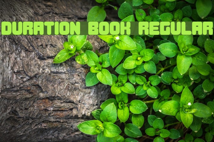 Duration Book Regular Example 3