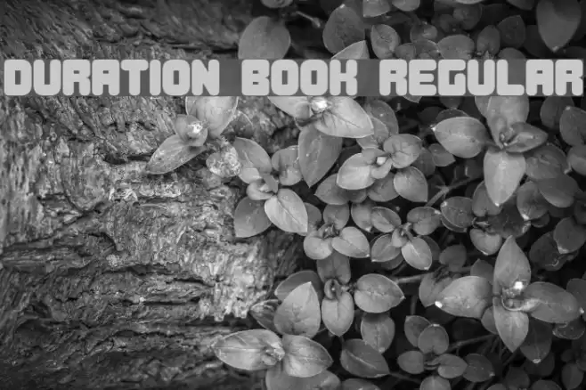 Duration Book Regular Font examples