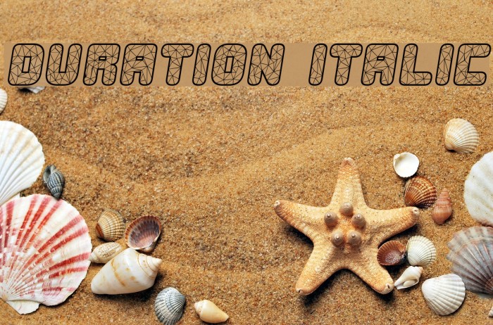 Duration Italic Font examples