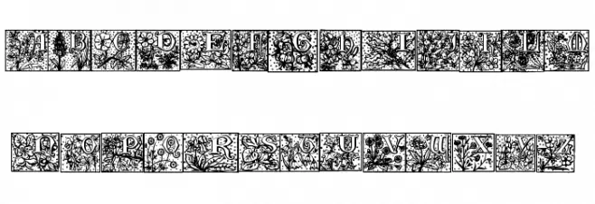 Durbin Initials Polices MAJUSCULES