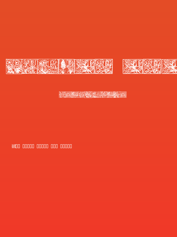 Durbin Initials Poster