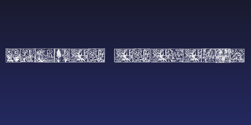 Durbin Initials Social Header