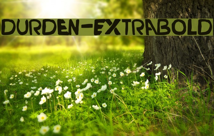Durden-ExtraBold Font examples