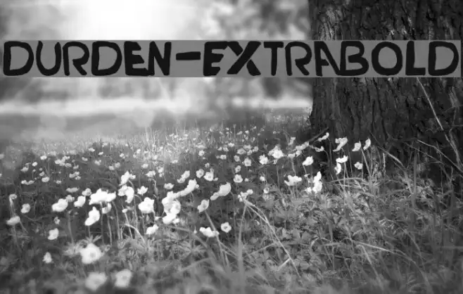 Durden-ExtraBold Example 1