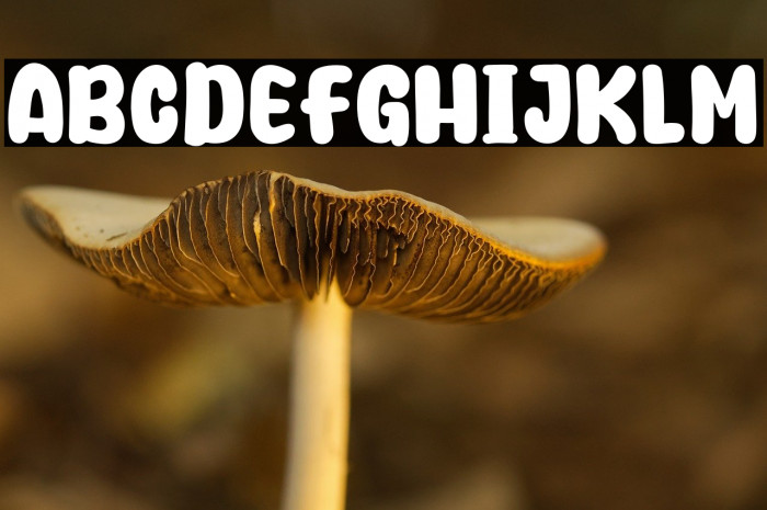 Durian Days Example 1