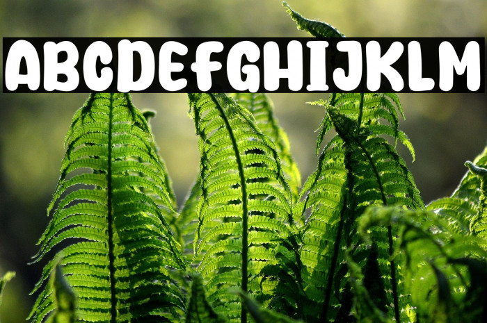 Durian Days Example 3