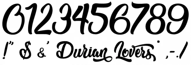 Durian Lovers - Personal Use Font OTHER CHARS
