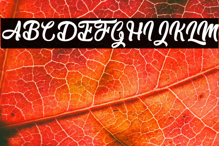 Durian Lovers - Personal Use Example 1