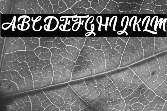 Durian Lovers - Personal Use Font examples