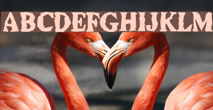 Durian Republik Font examples